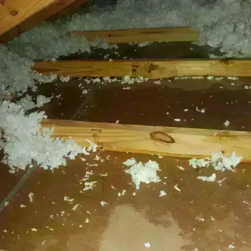 Attic Water Damage in Palm Beach Gardens, FL